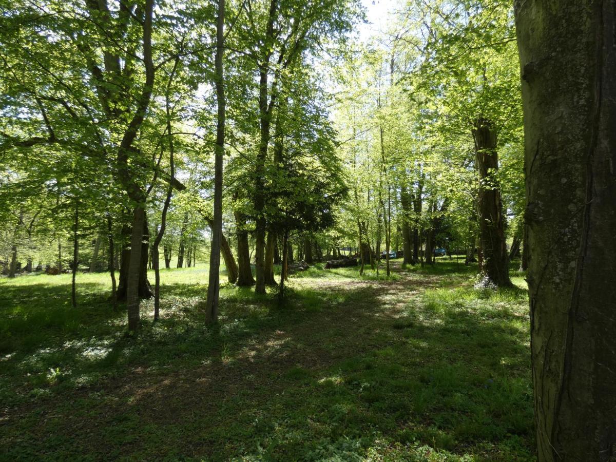 Domaine De Chatenay - Le Mans Saint-Saturnin  Exteriör bild